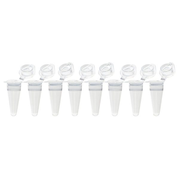 A group of white cups with lids on them.