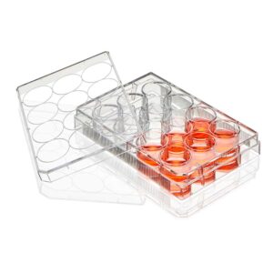 A clear plastic container with many orange pills inside of it.