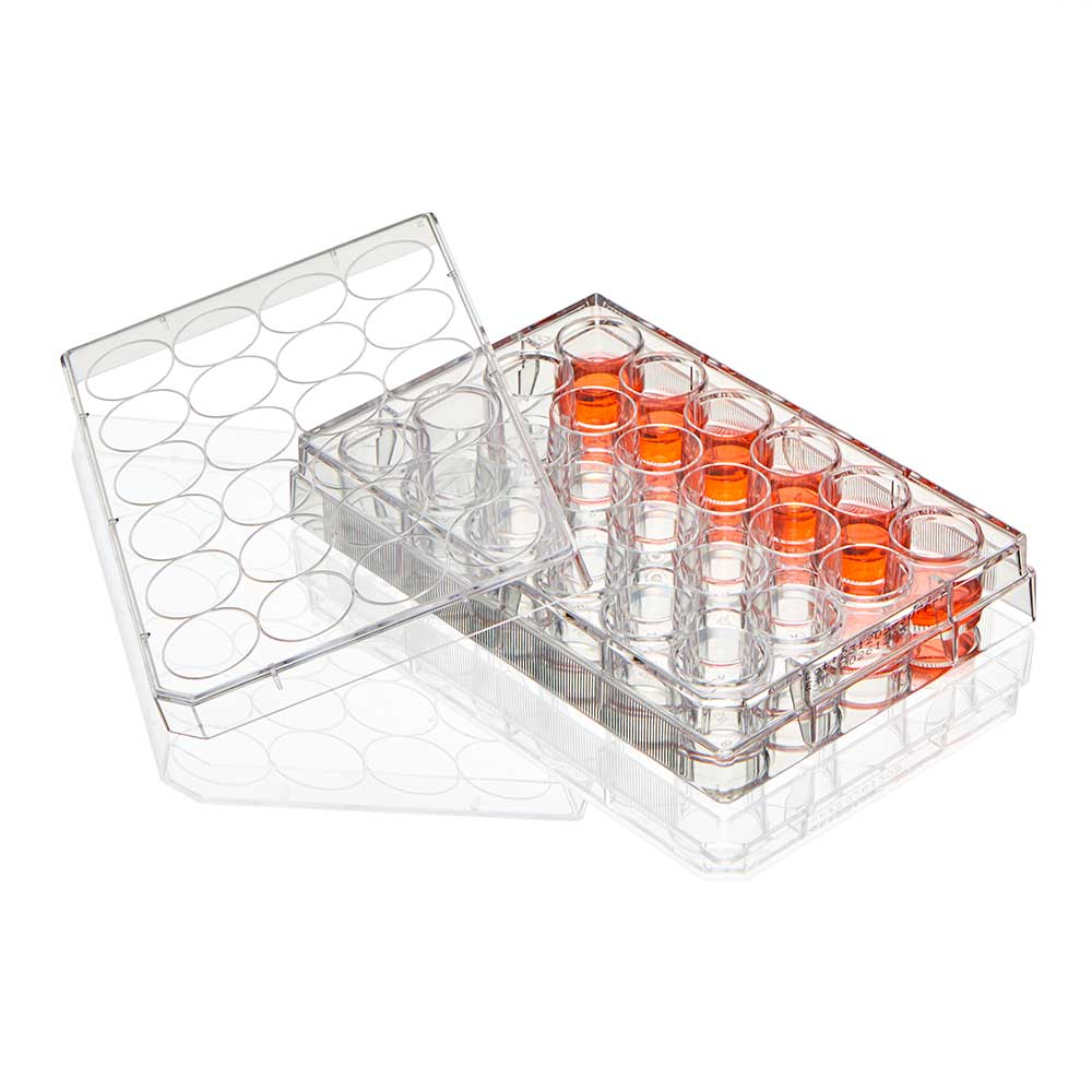 A plastic container with orange lids and a clear lid.