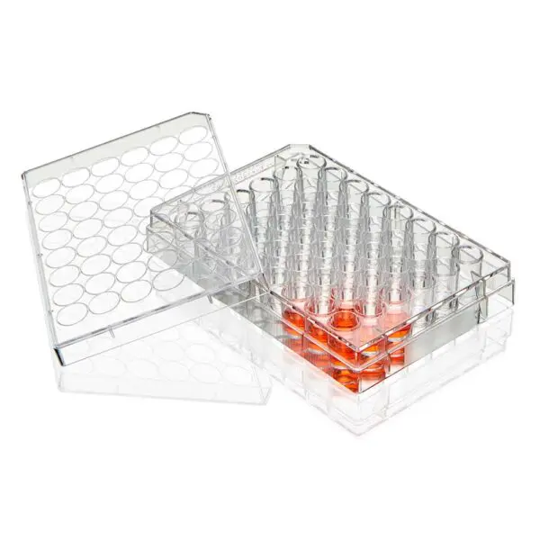 A plastic container with orange pills inside of it