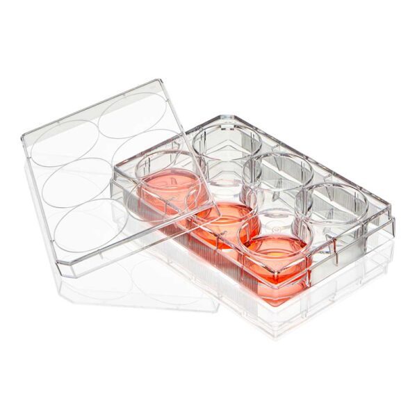 A clear plastic container with eight compartments.