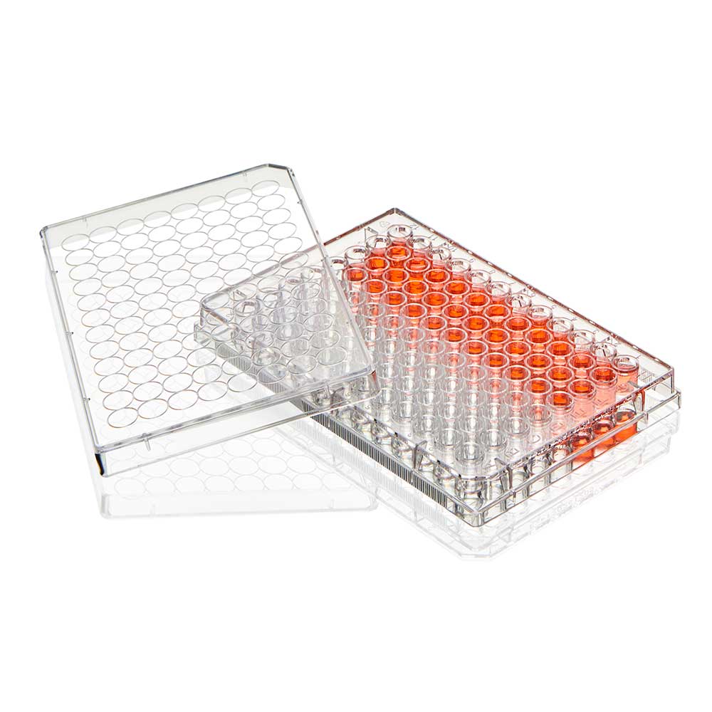 A tray with an orange lid and a clear cover.